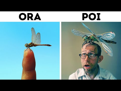 Affascinanti fatti sugli animali che non troverai in un libro di testo