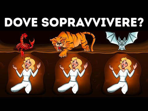 Indovinelli Ingannevoli: anche le menti più aguzze rimangono sconcertate