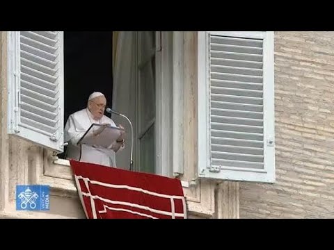 L’appello di Papa Francesco: «Migliaia di morti a Gaza. Basta, fermatevi. Si pensa di…