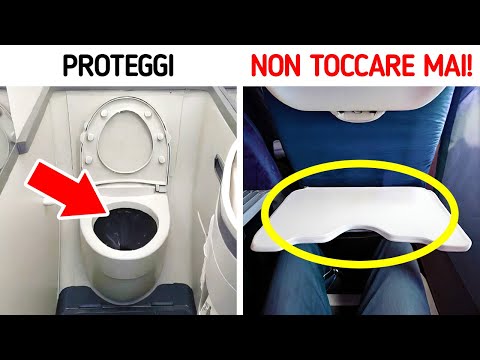 70 Fatti Sugli Aeroplani Che Non Crederai Di Non Aver Mai Conosciuto