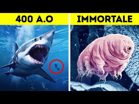 Il Primo Animale a Sopravvivere nello Spazio + Altre Meraviglie Fuori da Questo Mondo