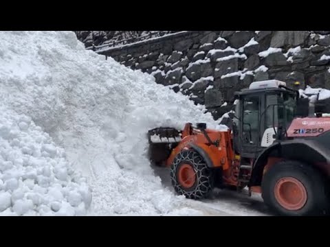 Il video delle operazioni di sgombero della neve caduta con la valanga a Gressoney