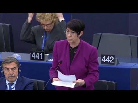 L’europarlamentare tedesca di Afd attacca le trans: «Non sono donne. Chi si traveste sia…