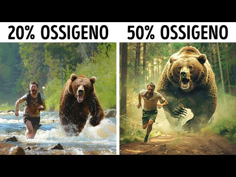 Cosa Succederebbe se l’Ossigeno sulla Terra Fosse al 50% e Altre Curiosità Sul Nostro Pianeta