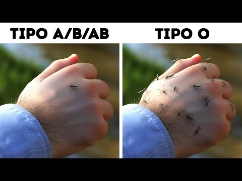 90 Fatti Sugli Animali per Stimolare la Tua Curiosità