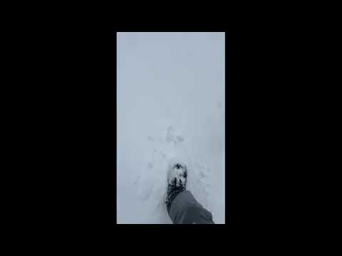 Modena, nevica in primavera in Appennino da Frassinoro a Sestola