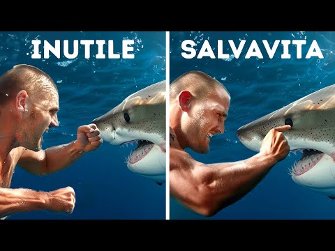 Miti sulla sopravvivenza che peggioreranno solo la situazione