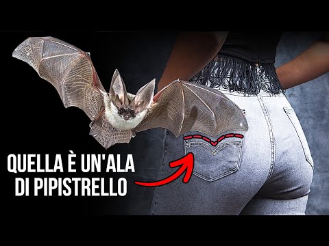 Questi Fatti Ti Rendono il Perfetto Rompighiaccio a Qualsiasi Festa