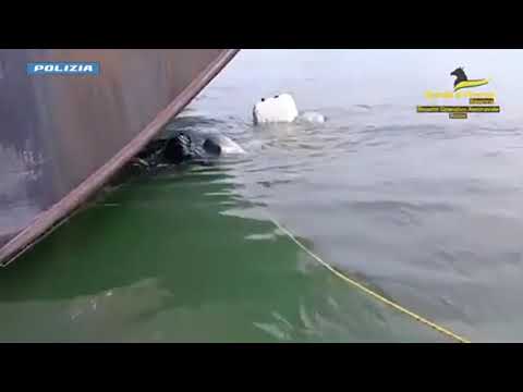Maxi-sequestro di cocaina al porto di Ravenna, la droga nascosta in una nave: così è stata scoperta
