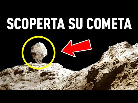 Questa Scoperta ha Costretto gli Scienziati a Rivalutare Tutto