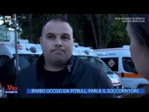 Bimbo azzannato da pitbull: il commovente racconto del primo soccorritore:«Francesco Pio era su…