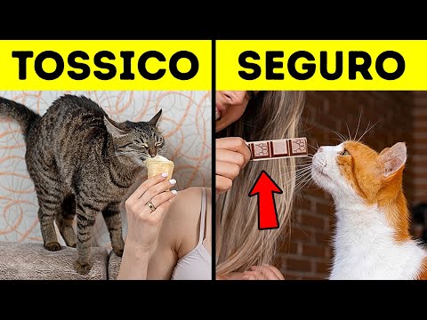 16 Fatti che gli Animali Preferiscono Tenere Segreti da Te