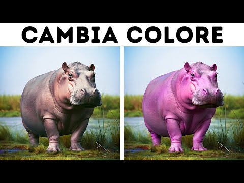 90 Fatti Casuali per Arricchire le Tue Conversazioni