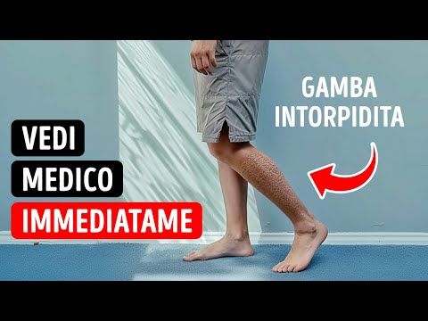 100+ Fatti Casuali Che Meritano un Sopracciglio Alzato