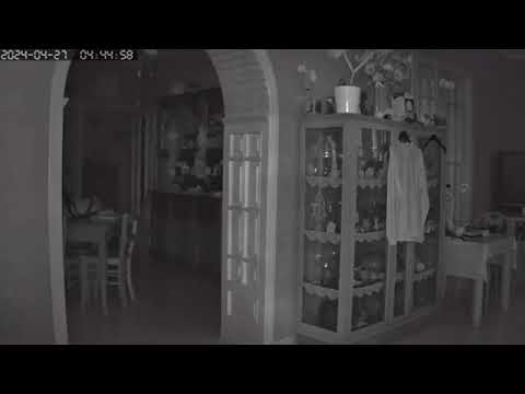 Terremoto nella notte ai Campi flegrei, in salotto trema tutto: il video registrato da una webcam