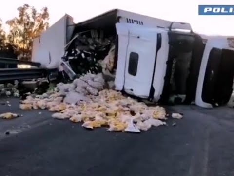 Enna, si ribalta autocarro con patate sulla A19: il video