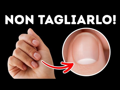 86 Fatti Sorprendenti Che Non Ti Hanno Mai Insegnato