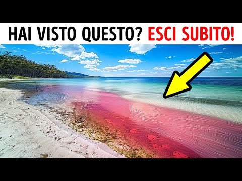 15 Fenomeni che Non Crederai Esistano – Scappa Prima che sia Troppo Tardi!