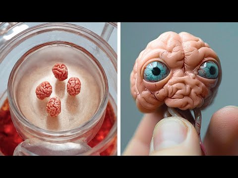 Gli scienziati hanno coltivato un mini cervello, che ha sviluppato gli occhi!