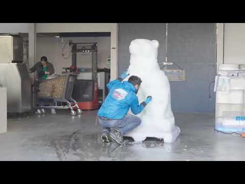Un orso polare di ghiaccio mascotte della Giornata della Terra