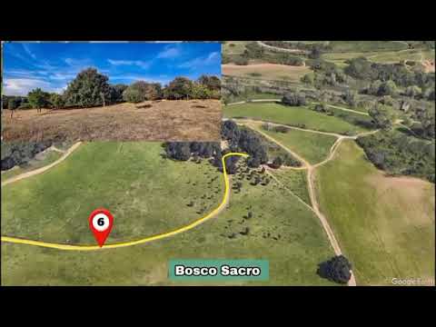 Atletica: il 21 aprile torna l’Appia Run, una classica delle corse su strada. Ecco tutte le inf…