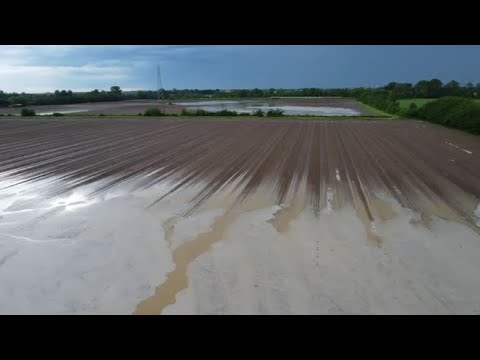 Maltempo nel Bresciano, i campi agricoli diventano paludi