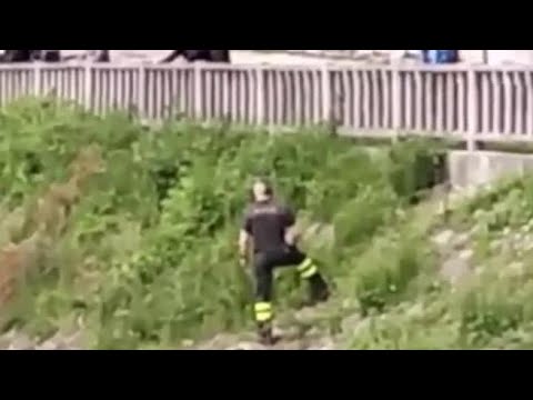 Rovereto, giovane capriolo salvato dalle acque del Leno