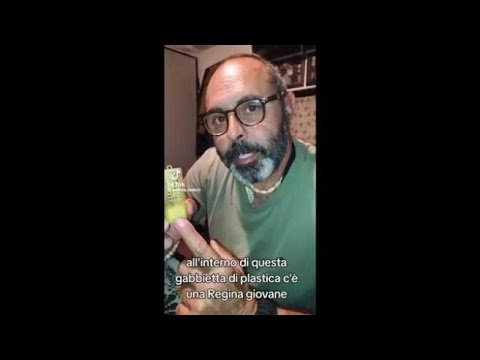 Ecco lo straordinario canto dell’ape regina, la melodia usata per tenere insieme lo sciame