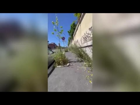 Roma Portuense, ecco il marciapiede-giungla con le erbacce alte un metro