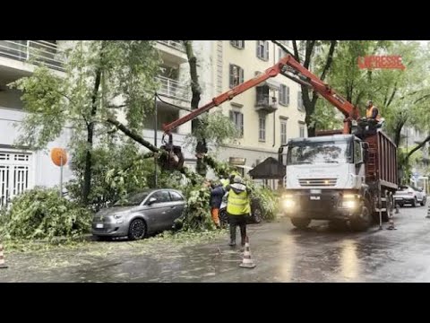 Maltempo a Milano, alberi caduti per la pioggia in via Sanzio