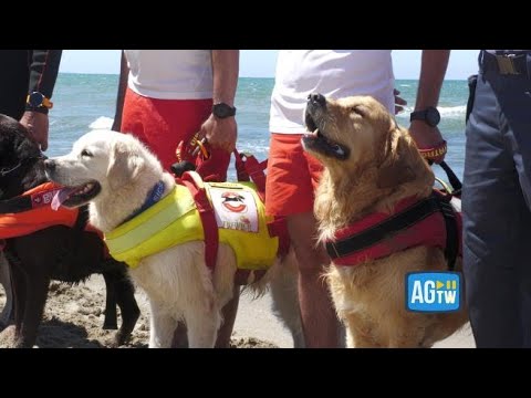 A Fregene cani salvataggio e moto d’acqua per l’esercitazione “Mari e laghi sicuri”