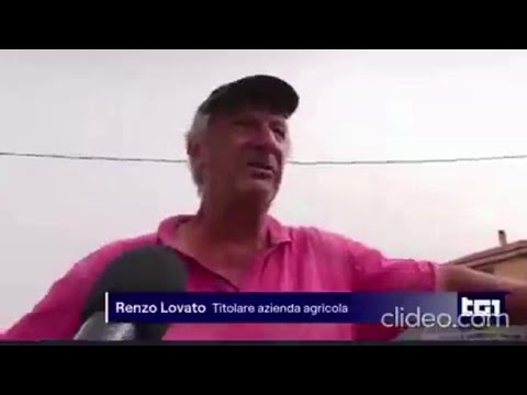 Intervista al padrone del bracciante indiano morto