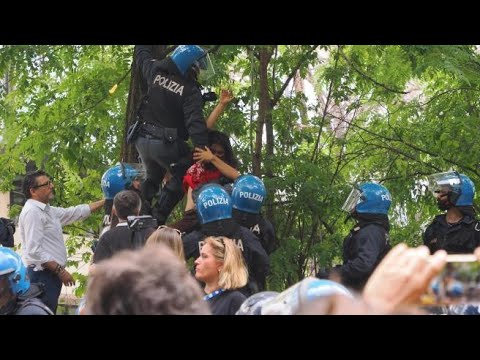 Proteste al parco Don Bosco di Bologna: gli attivisti salgono sugli alberi che vengono tagliati