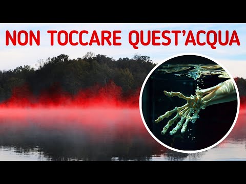 Questo Lago Sembra Calmo Ma Nasconde Segreti Oscuri