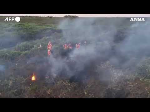 Incendi in Brasile, distrutti dal fuoco 500 mila ettari nel Pantanal
