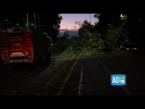 maltempo a Milano, alberi abbattuti e interruzione di alcune linee dei tram