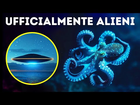 Gli scienziati suggeriscono che i polpi provengano dallo spazio esterno.