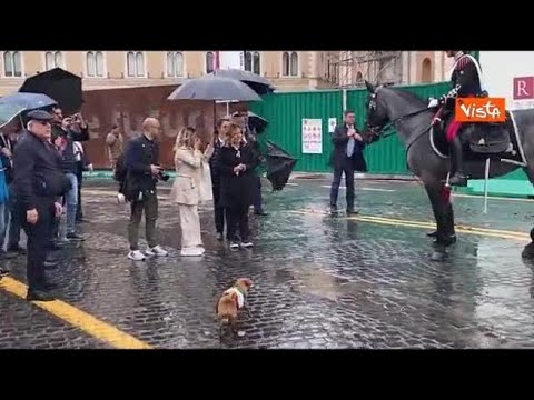 Meloni si ferma per una foto con la mascotte Briciola e i Carabinieri a cavallo