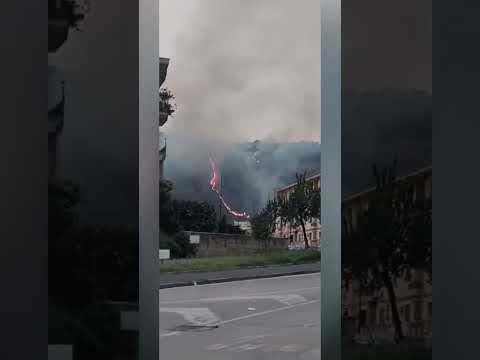 Paura a Napoli: maxi incendio sulla collina dei Camaldoli #shorts #news