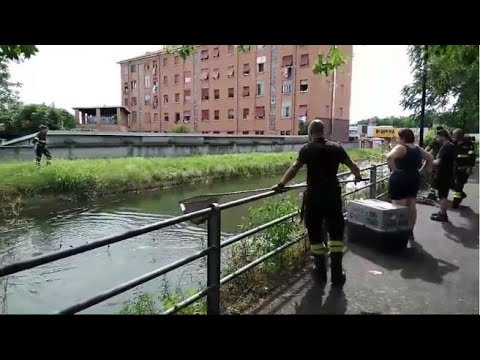 Salvataggio Germani milano