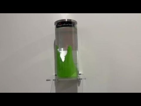 Il mare in un cassetto, Roxy in the Box da Trisorio