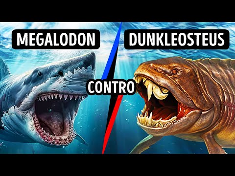 Mostri marini che ti faranno domandare cosa mangiano