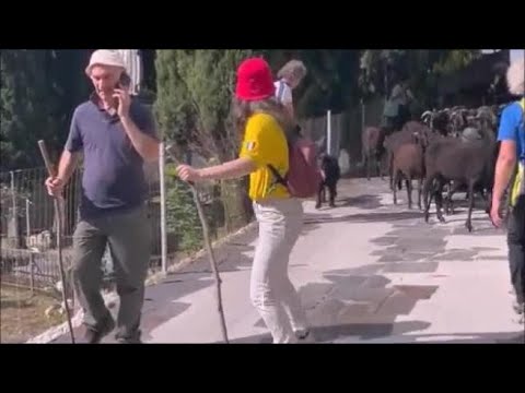 Una giornata speciale con la pastora Carolina: il video della transumanza delle pecore