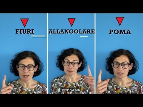 video night 14-6 fiori e piante