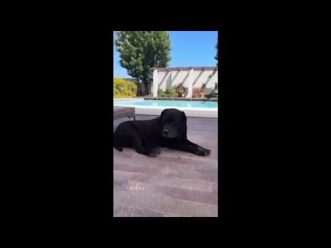 Ecco la piscina della villa extra-lusso di Ilary Blasi (e di Francesco Totti)