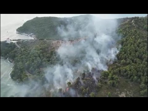 Incendio a Vieste: fiamme nel bosco, in pericolo il vicino residence di Baia dei Campi