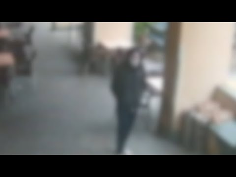 Vimercate, le immagini che incastrano l’aggressore della barista: «In città lo conoscono tutti»