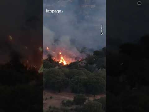 La Sardegna brucia: vasto incendio nel Nuorese, centinaia di ettari distrutti