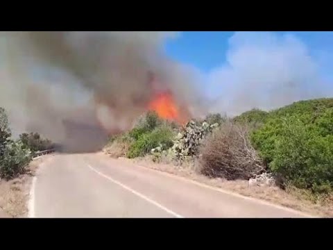 Ugento, incendi nel parco nazionale: evacuato il parcheggio del resort a Torre Mozza