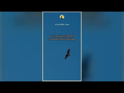 Cogne, il volo del gipeto Refrain dopo l’alluvione: «Un piccolo segnale di speranza»